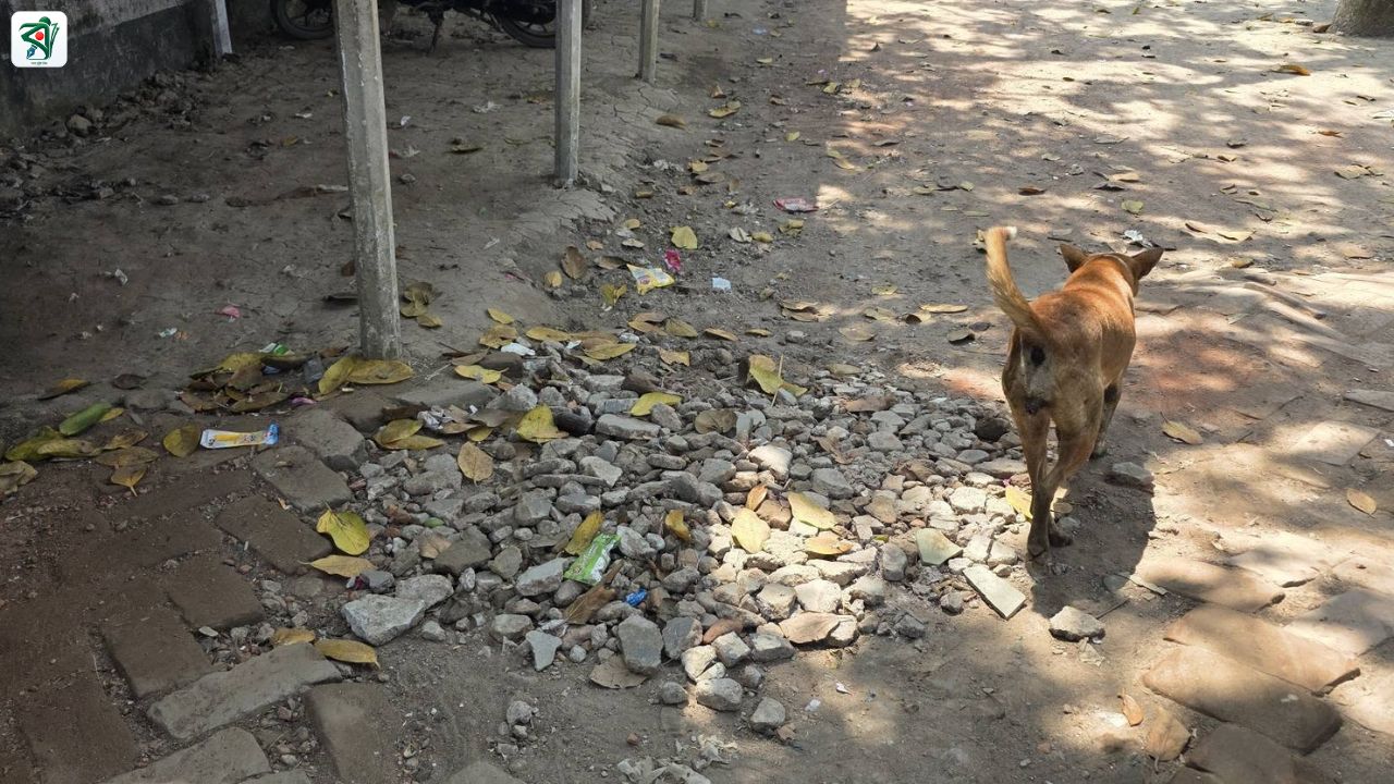 সিহালী উচ্চ বিদ্যালয়ে অপরিচ্ছন্নতা দেখে ক্ষুব্ধ প্রতিমন্ত্রী